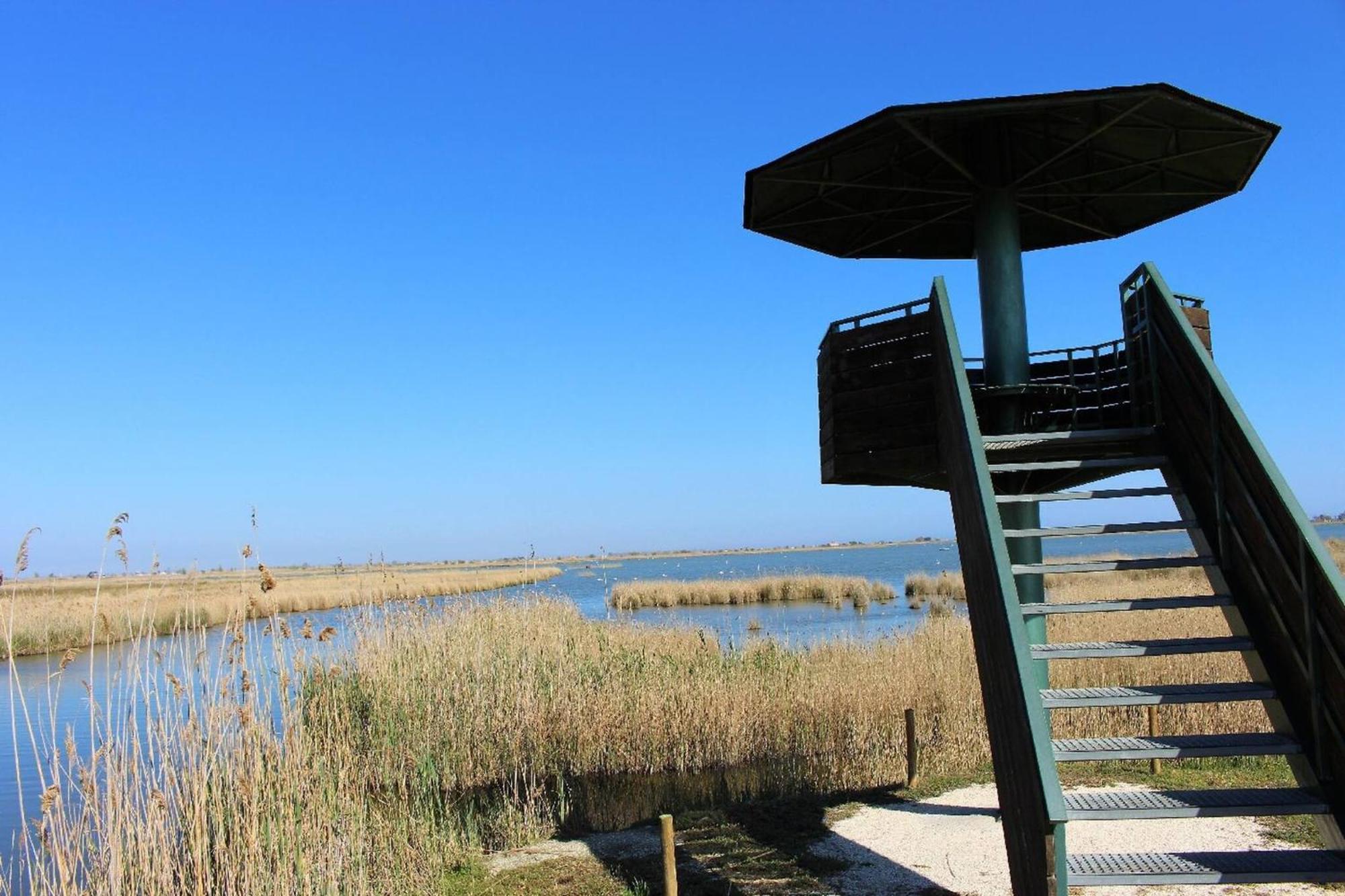 דלטברה Quet - Casa Rural Con Piscina Privada En El Delta Del Ebro - Deltavacaciones מראה חיצוני תמונה